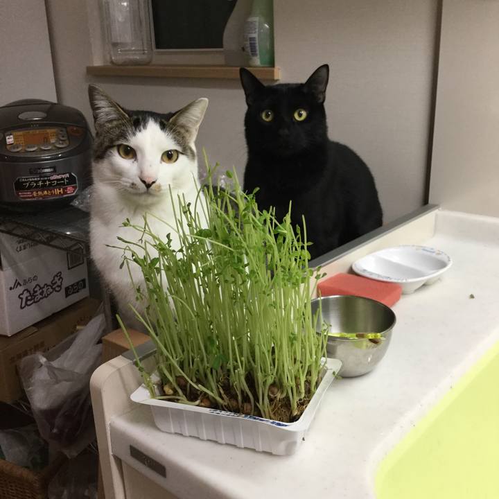 5d03a8e0 c3b8 403a 9e91 f4825eb76a1f