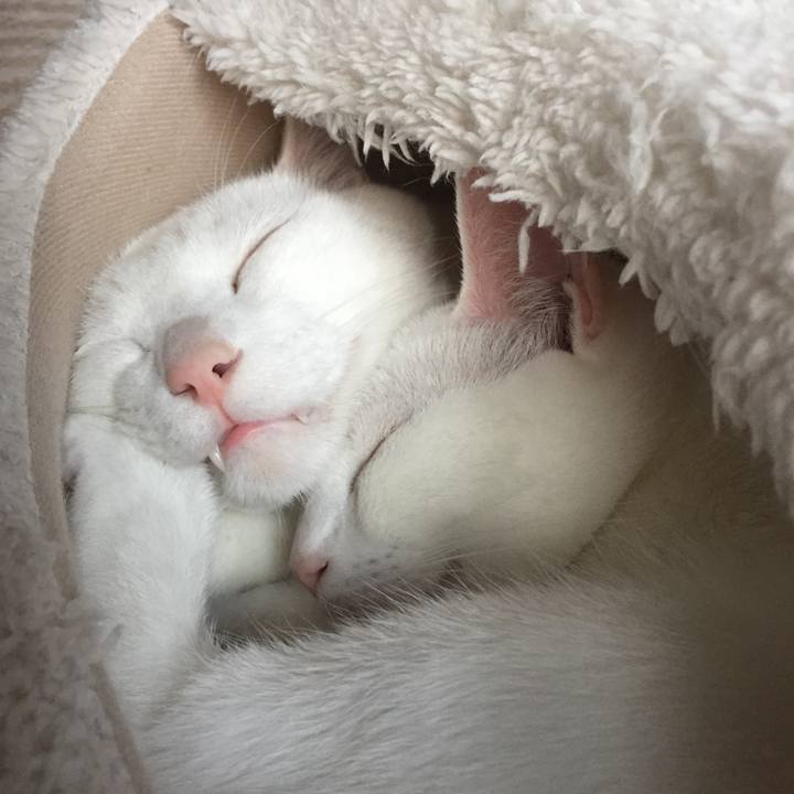 5d03d194 9350 47ec bba3 d6bcb32898c4