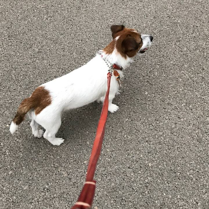 5d04196b 400c 456c a43b fcea92855131