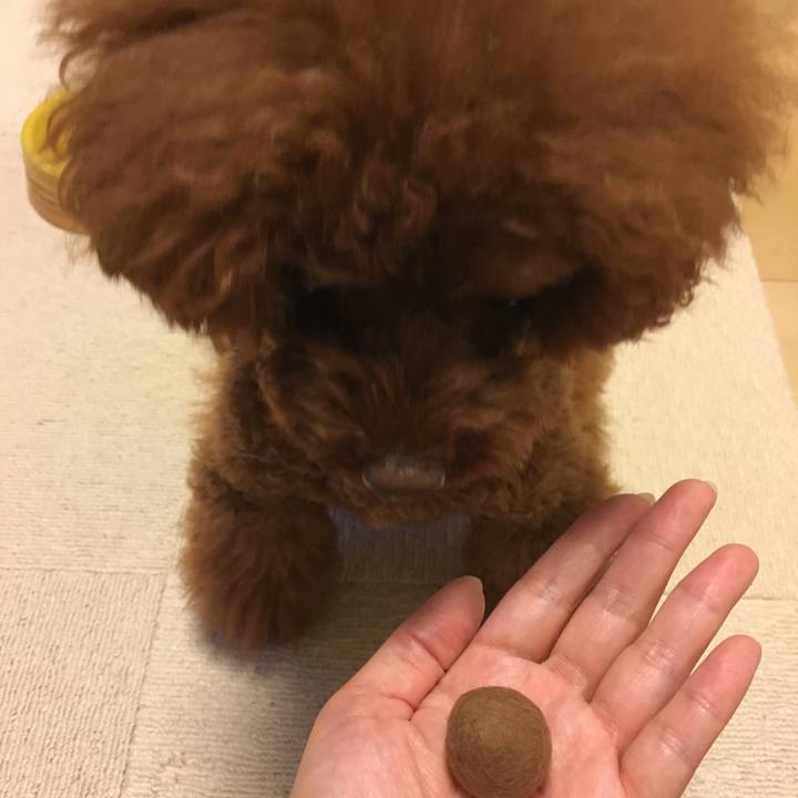 5d046b66 9371 4ca9 8d39 9e40ef36779f