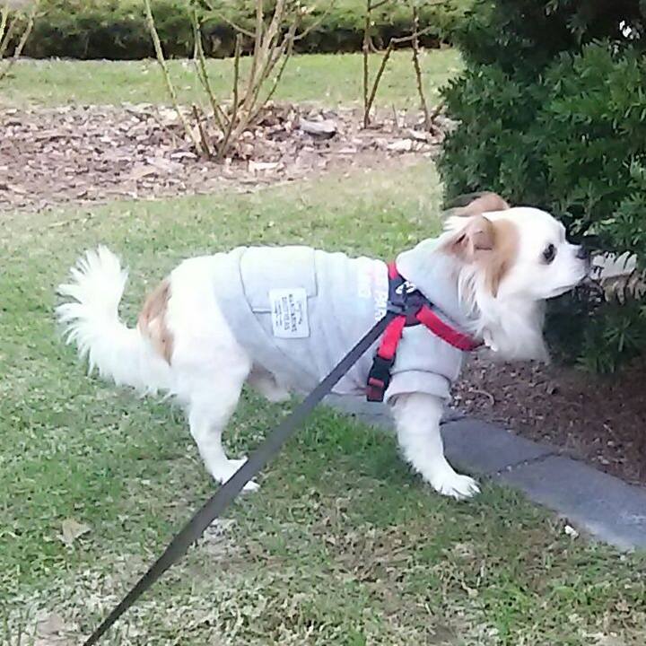 5d04aa02 11be 4827 bf15 dfeb51519624