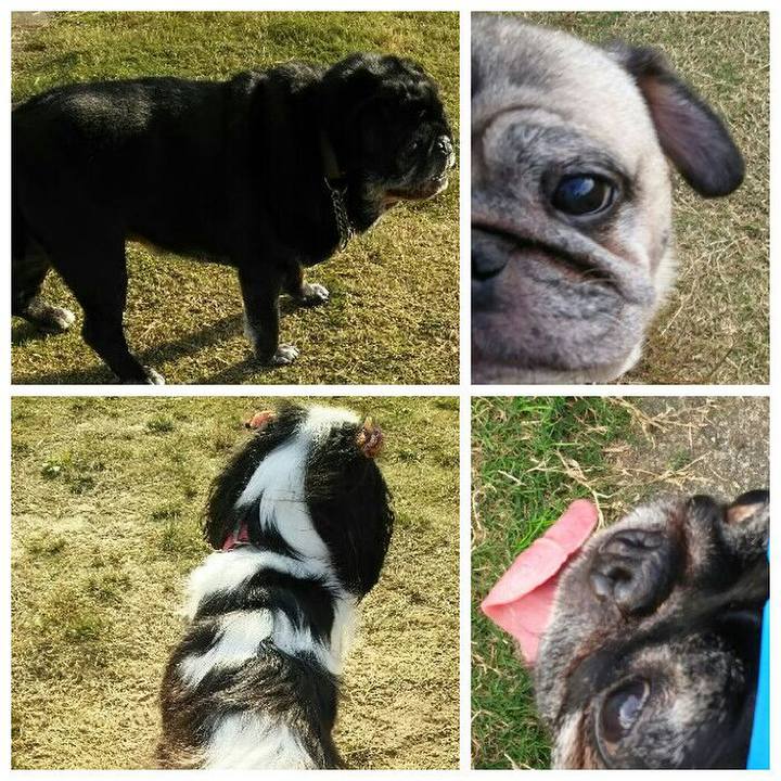 5d04f667 d29c 4c86 88ed d3d14bc991fe