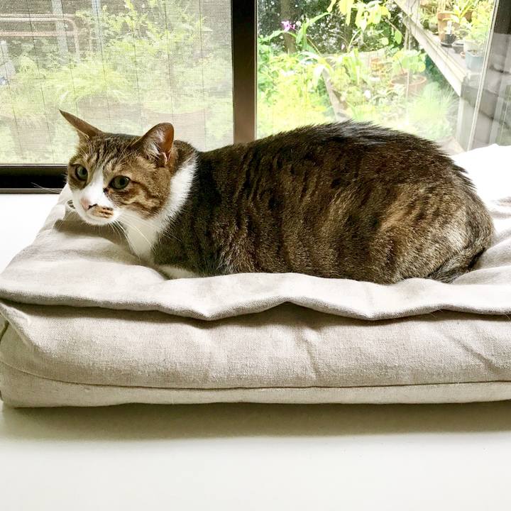 5d05251b fe93 4ca6 8ccc bd1287f9e77d