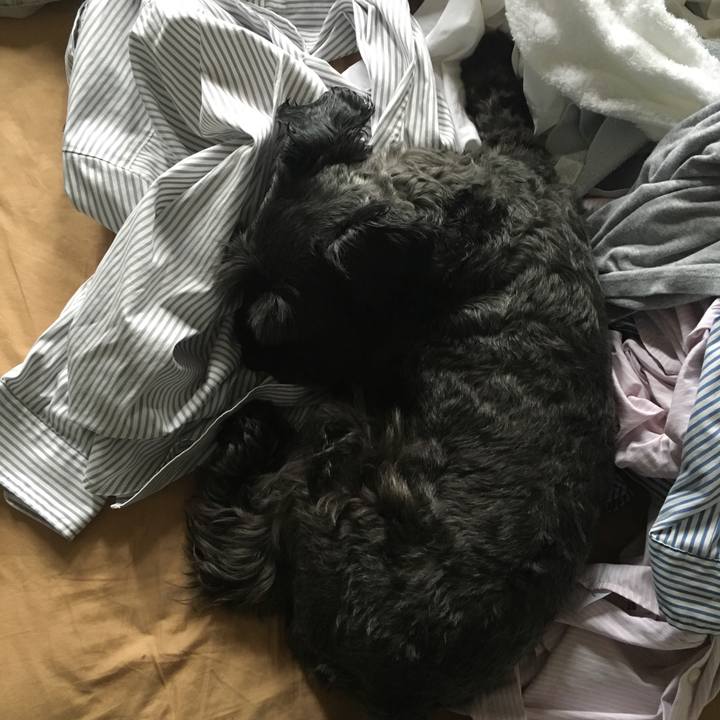 5d0528d2 7c62 4cd9 a0b6 9cd6bf890994