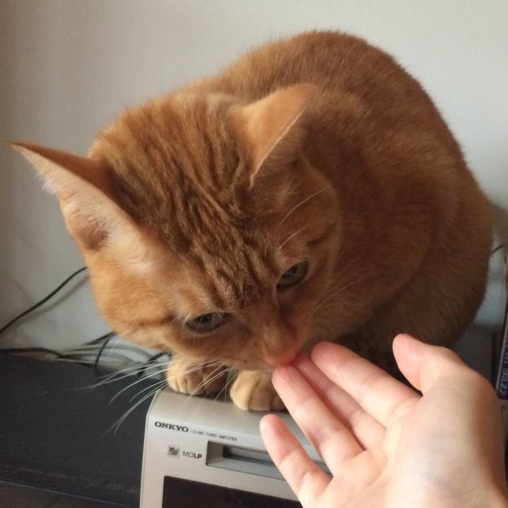 5d055312 85ba 4983 bbb0 0e8e48092ebe