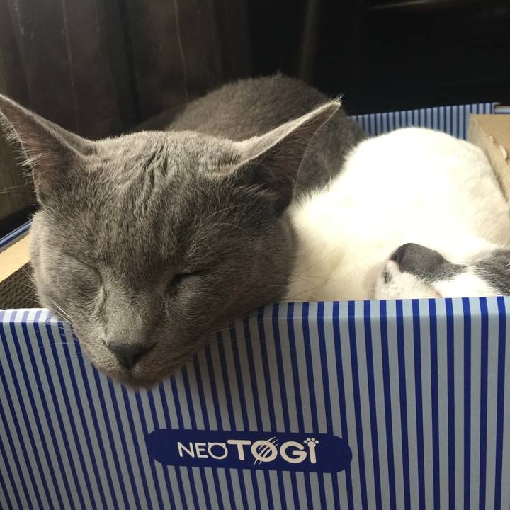 5d05c4cb 71b4 4873 ba99 5606e5d2f014