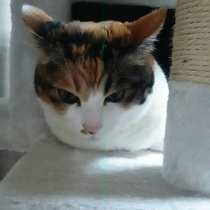 5d05d345 e4cd 42b1 bbf1 ada7de0b5a9d