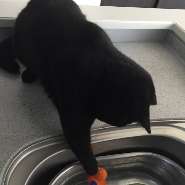 5d0608ab ab75 40db a034 a71d9c0df23d