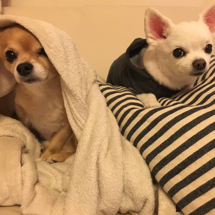 5d072a9e 2f43 484b bebb 617bcb3fb757