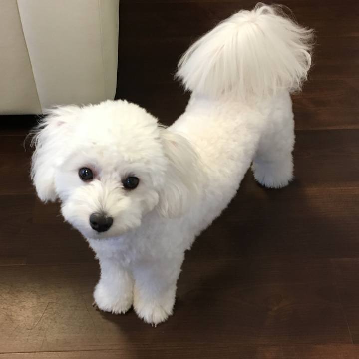 5d072b57 30a6 4cac bd14 1433ffbe40e5