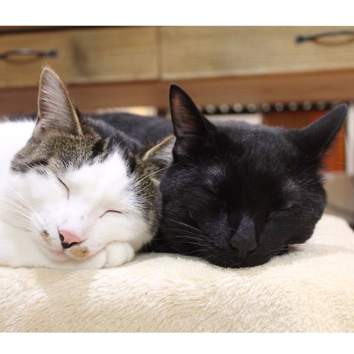 5d080d82 12e8 4404 b1bd 0f6471b62de3