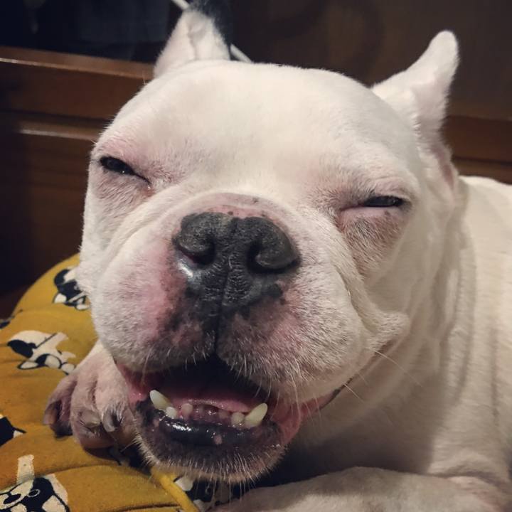 5d084ca7 efde 45eb bf87 fa3ee6e266b3