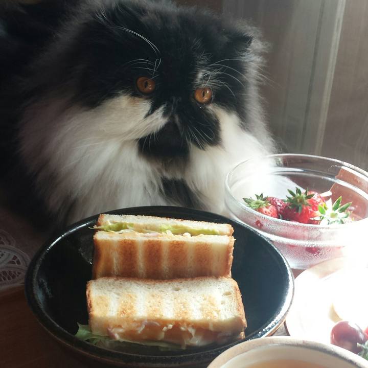 5d086d90 0dd7 458d ade1 165364efed37