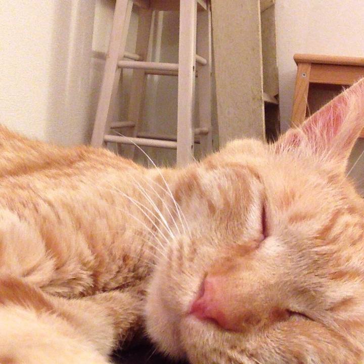 5d09716e 8448 4ff3 9deb 61a633115031