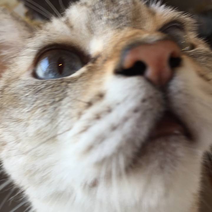 5d09876b f0cf 4bfa 951a d57c909220ee