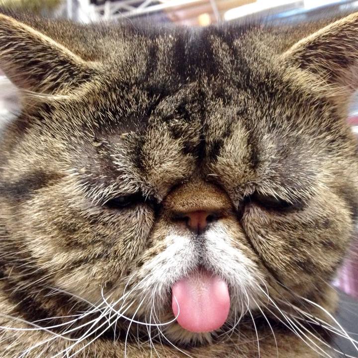 5d0a14ec 92a7 48a4 9297 6b114b2da296