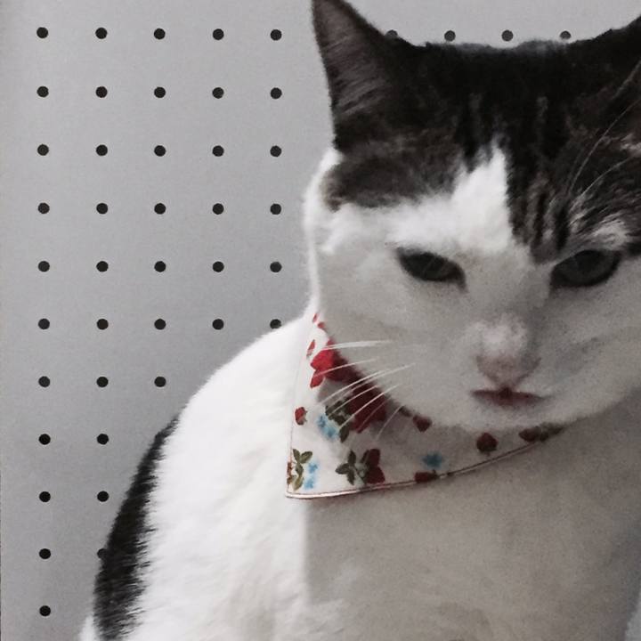 5d0aef4b 0fb6 4e5d 9af2 567cfe2edef6