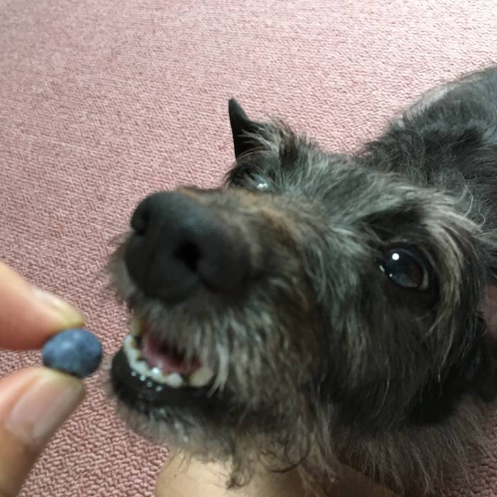 5d0af12e cca0 43f5 9bb9 29342b297111