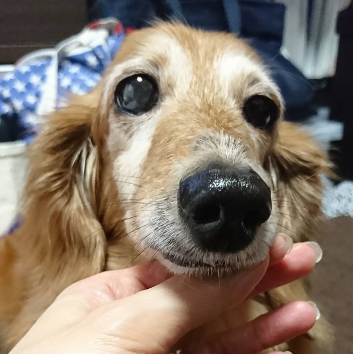 5d0b11a7 2c0e 43e4 9f57 cf9aa5111928