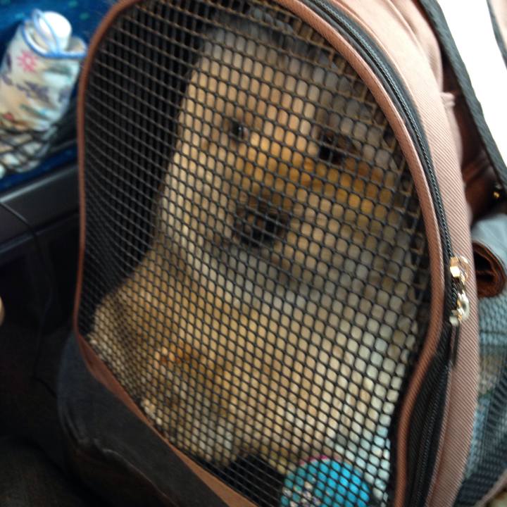 5d0b3d9c e8c0 403c 9011 f4720b74beb6