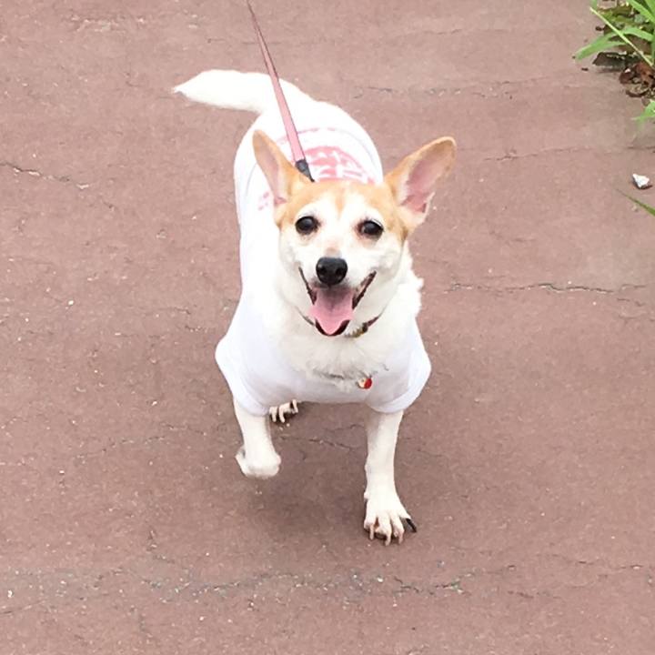 5d0b4031 9414 4567 b0a8 4f731c620d28