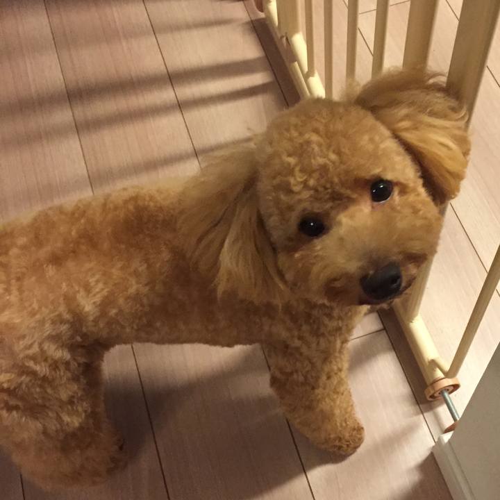 5d0b76fd dd2e 4093 a6ad cf7a3f7b7bb0