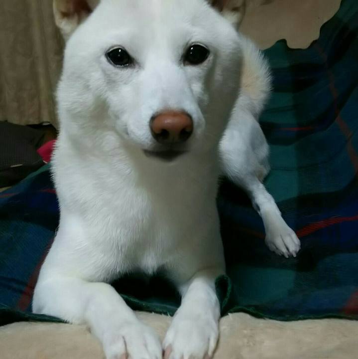 5d0c53e5 3c23 4cf1 be14 0356576682ac