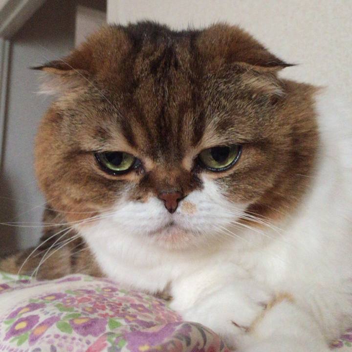 5d0cd658 49f1 4b97 82ff 0ca3a52b7ae6