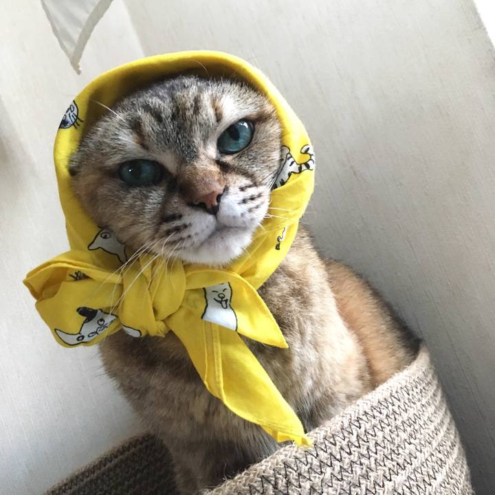 5d0d4420 dd4f 4a07 9f37 c212b77cad5f