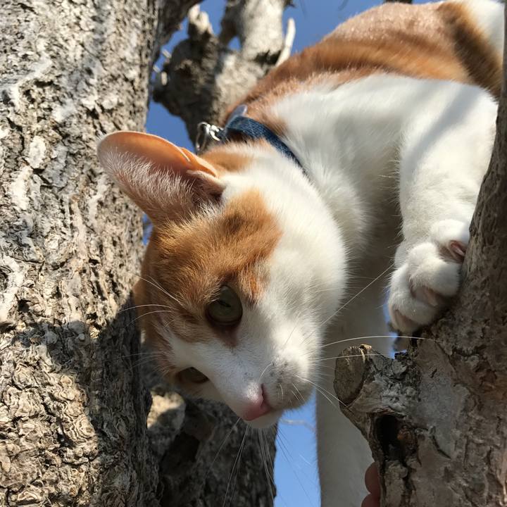 5d0d7934 6715 4a4a 8388 b9a539e84efa