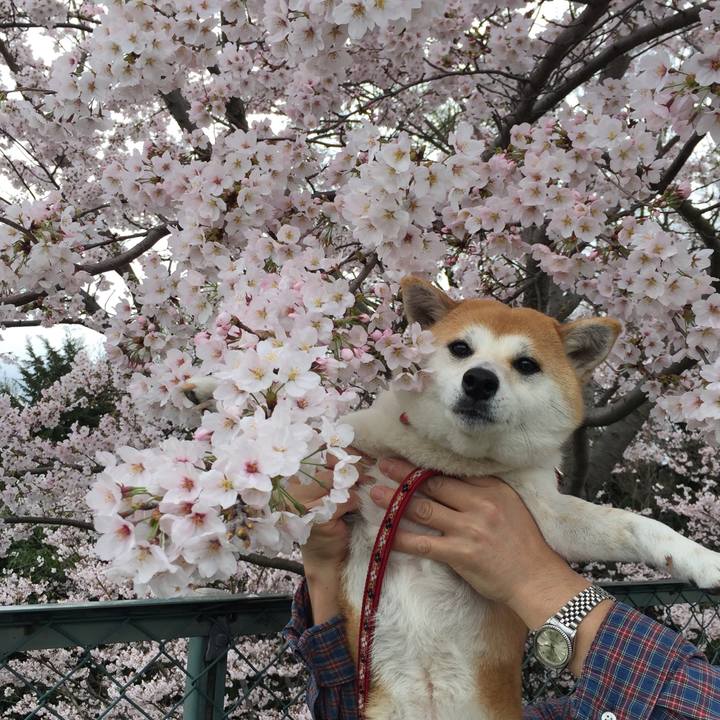 5d0e3bff fee1 42a1 97e6 45b36dd18e6e