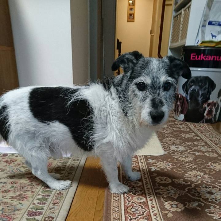 5d0e4c9e 0a21 4939 b552 8409037f11db