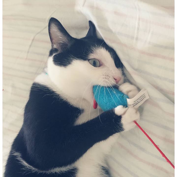 5d0e9ede bfa8 4578 8b57 9df3e0c0282a