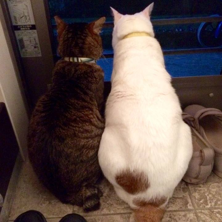 5d0eb157 bc9e 4e00 ba95 addcd125fe11