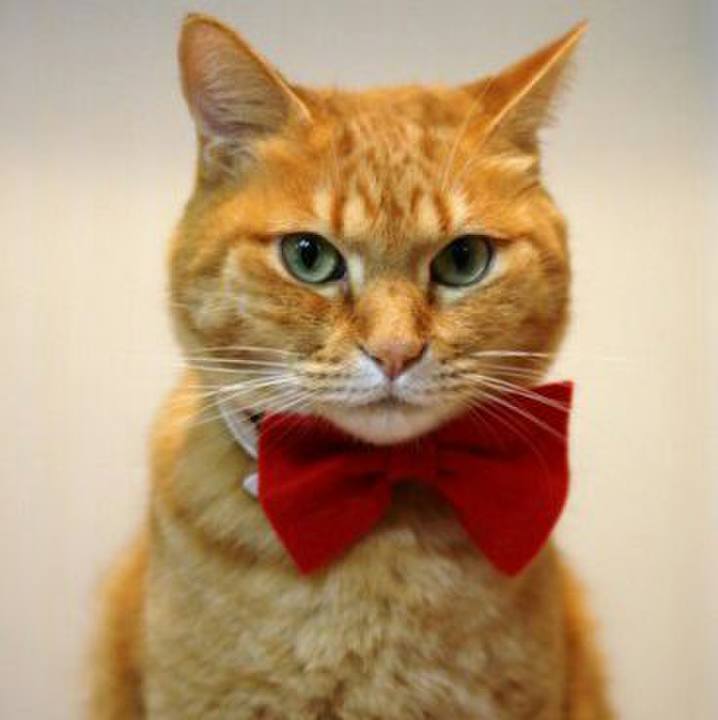 5d0efa96 1449 4036 84f2 553c07d0f90d