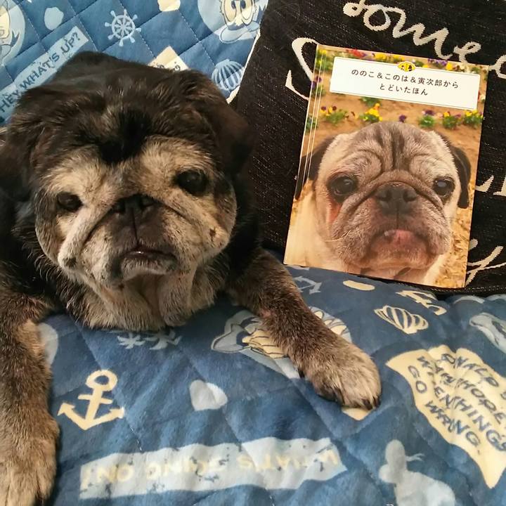 5d0fa8ee 5e31 4a2d ba7d 083f62c07493