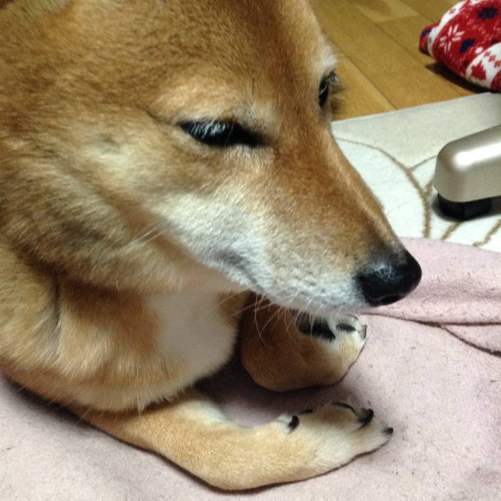 5d0feb2e 6bd9 4b8e 91b0 156cfdf34016