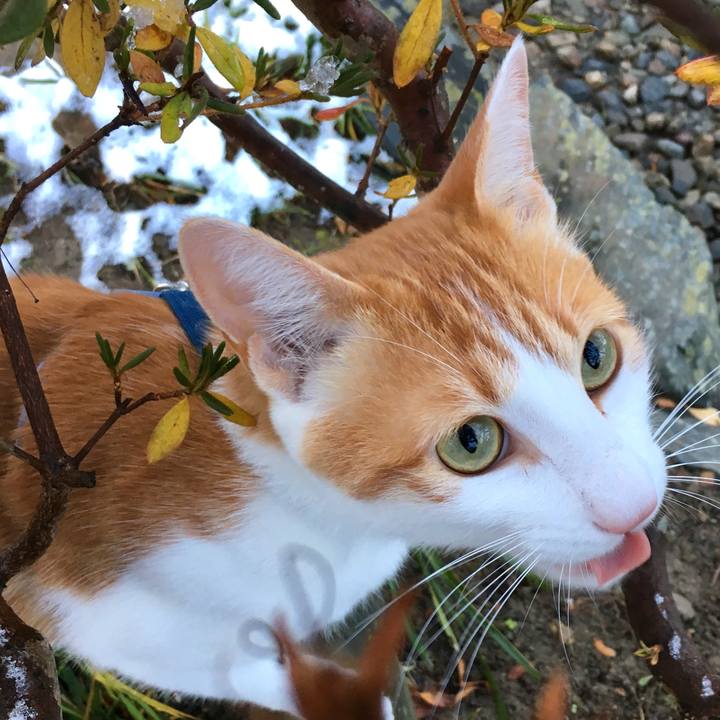 5d0ff3fb e9b2 4af0 b057 54ee7e99f441