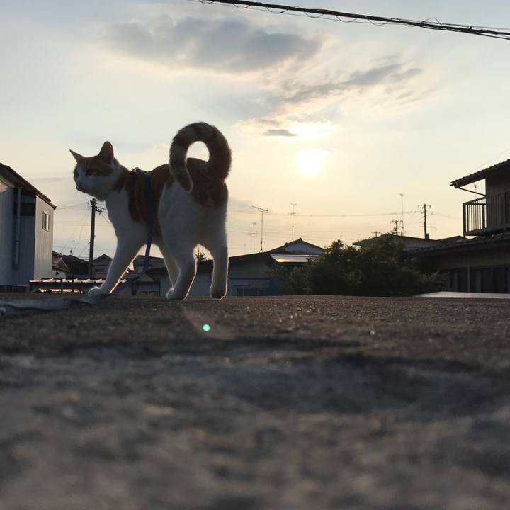 5d1099aa 7d22 48ce a09b ced56fb32411