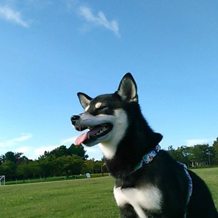 5d10aeb8 be48 461c b71e b54e9ec63c2a