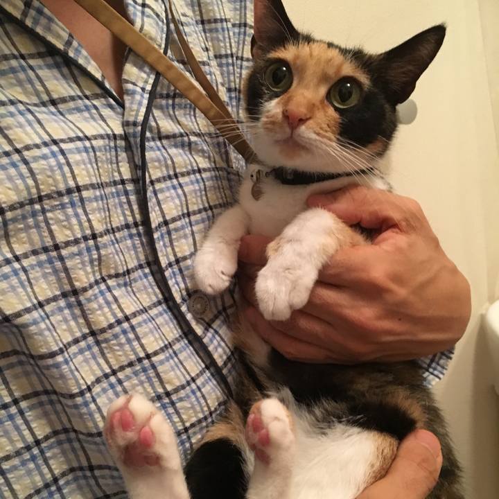 5d10e653 694c 4d04 9cb1 31758358d4ec