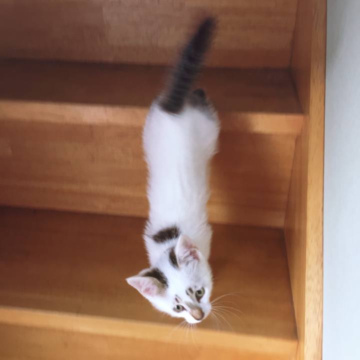 5d1166ba 1d4b 40e3 b3e8 8dceccc073cb