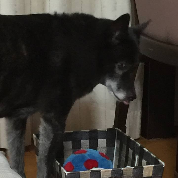 5d118209 08d0 4fdd 91e5 c6a43cd9809c