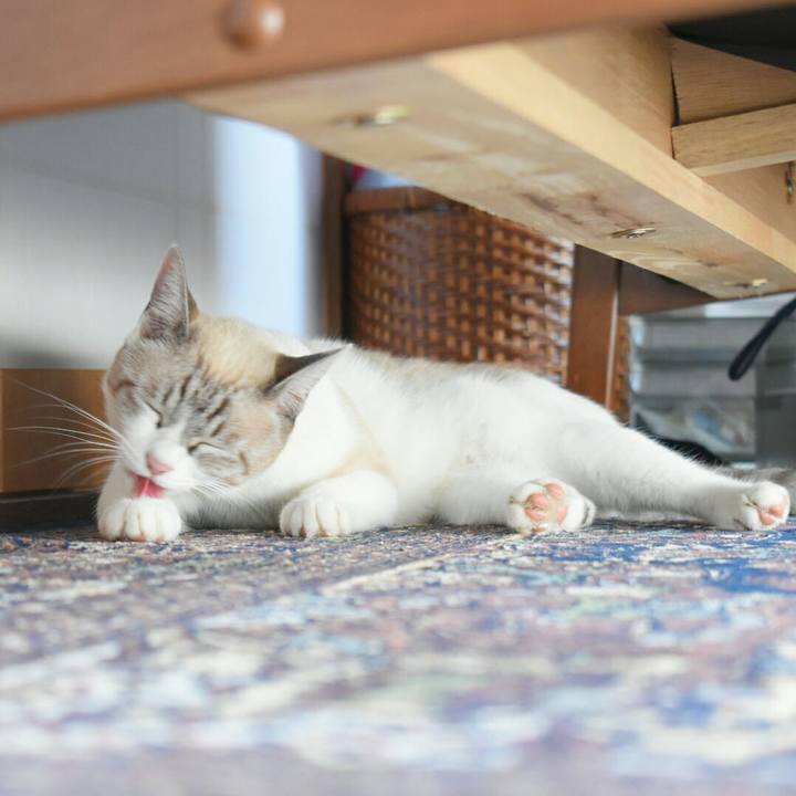 5d11fbd4 d07f 4a13 aac2 06945a80e9de