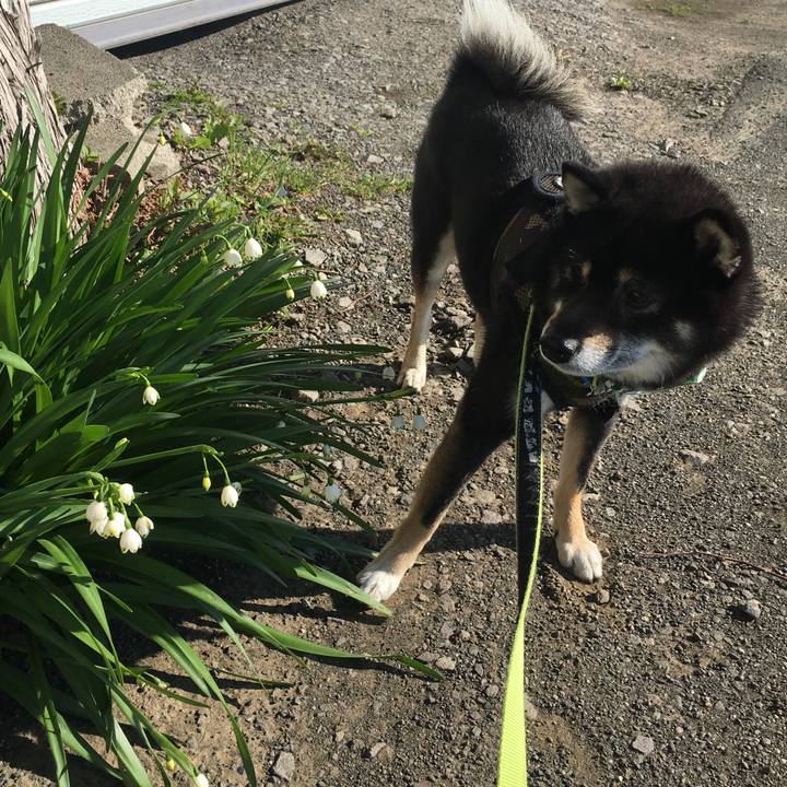 5d1260a9 42e2 419c af98 571fbbafb3a7