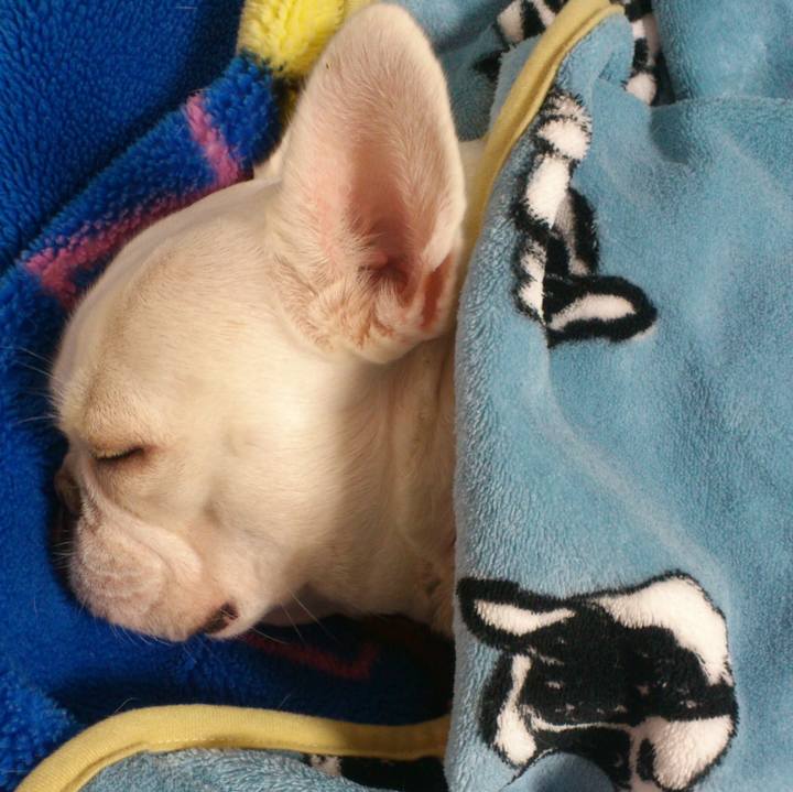 5d1364b8 e5e9 4466 831f c6170d32bc77