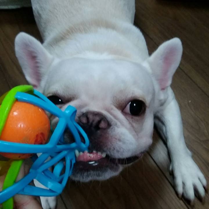 5d165026 c115 42fd a2e0 5e89df295d26