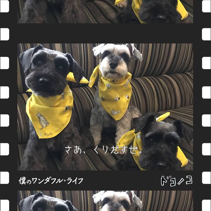 5d16ab5d db54 4cdc 96d6 be472b92f9a8