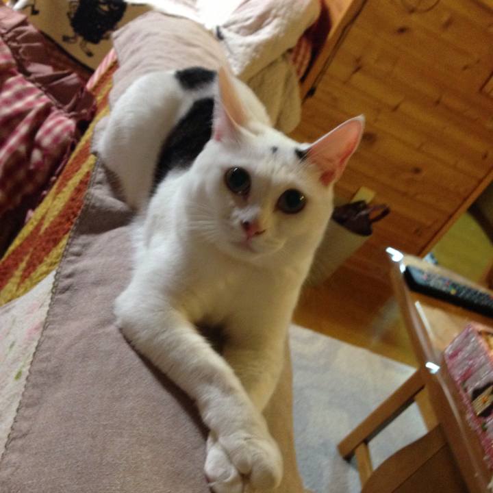 5d17d1e4 39d2 439e a0a8 c5c5506f7d48