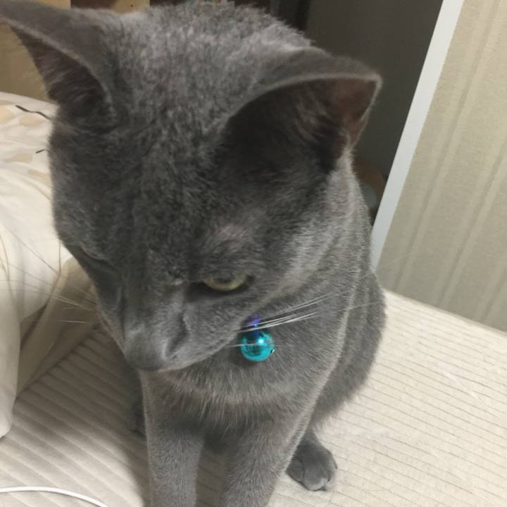 5d184700 ca59 4f9e 834a 343148878ebf